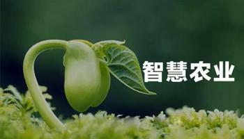 “植物工廠” 是什么，怎么建?